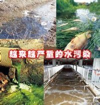 水污染 水污染